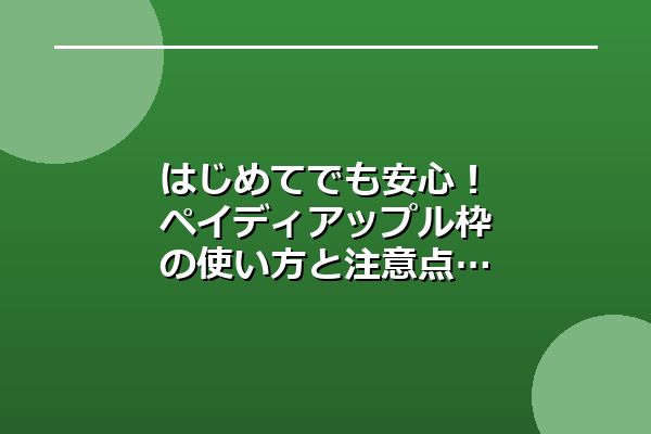 はじめてでも安心！ペイディアップル枠の使い方と注意点